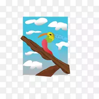 喙类动物羽毛-空若网 喙类动物羽毛-空若网