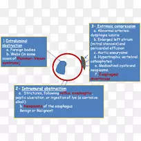 �ߵ��������-������