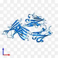 �߼�����-��-������