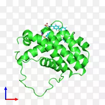 �ߵ�����������-������