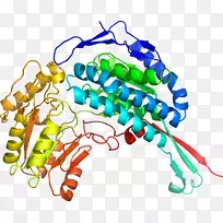人体珠宝有机体线条剪贴画.珠宝-空若网 人体珠宝有机体线条剪贴画.珠宝-空若网