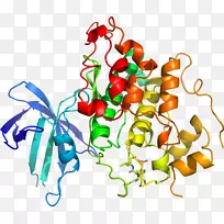 蔬菜有机体系列剪贴画-蔬菜-空若网 蔬菜有机体系列剪贴画-蔬菜-空若网