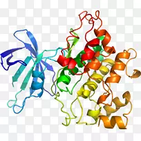 蔬菜线条剪贴画-蔬菜-空若网 蔬菜线条剪贴画-蔬菜-空若网