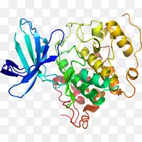 昆虫线条剪贴画-昆虫-空若网 昆虫线条剪贴画-昆虫-空若网