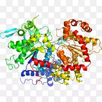 ����ʳ����������-��-������