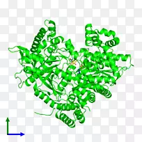 树线剪贴画-树-空若网 树线剪贴画-树-空若网