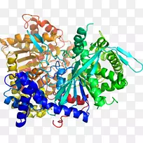 艺术身体珠宝有机体剪贴艺术珠宝首饰-空若网 艺术身体珠宝有机体剪贴艺术珠宝首饰-空若网