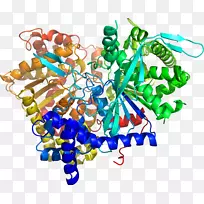 ��������ʳ����壬�鱦��������-��-������