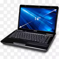 �ʼǱ����Զ�֥���Ǵ������Զ�֥����-������