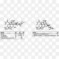 ֽ��-��ɫ����-����-������