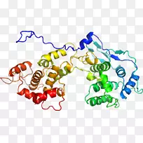 线点生物剪贴画线-空若网 线点生物剪贴画线-空若网
