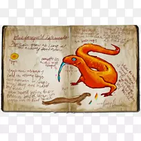 动物-空若网 动物-空若网