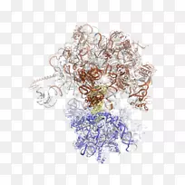 Ê÷ÐÍÊ÷-¿ÕÈôÍø Ê÷ÐÍÊ÷-¿ÕÈôÍø