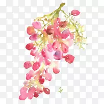 水彩画一月壁纸-花-空若网 水彩画一月壁纸-花-空若网