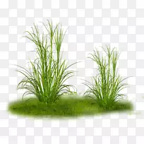 ���Ͳݼ�����-����-������