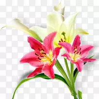 ������ưٺϻ��л������ٺϻ�����-������