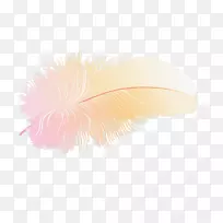 羽毛-羽毛-空若网 羽毛-羽毛-空若网