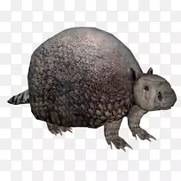 ������½���������-������