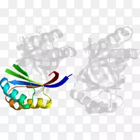 ��ָ���������-������