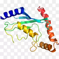 线点生物剪贴画线-空若网 线点生物剪贴画线-空若网