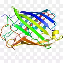 线点生物剪贴画线-空若网 线点生物剪贴画线-空若网