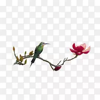 Ӥ����ֽ-��ͳ�ŵ������-������