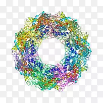 车身珠宝字体-珠宝-空若网 车身珠宝字体-珠宝-空若网