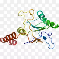 人体首饰有机体线剪贴画线-空若网 人体首饰有机体线剪贴画线-空若网