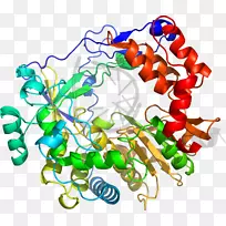 艺术食品身体珠宝剪贴画珠宝首饰-空若网 艺术食品身体珠宝剪贴画珠宝首饰-空若网