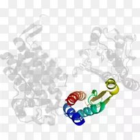 人体珠宝剪贴画.设计-空若网 人体珠宝剪贴画.设计-空若网