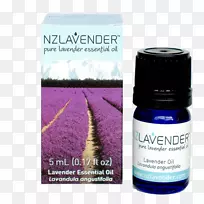 ޹�²��;���Ѭ��۸�޹�²���-������