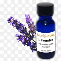 Ӣ��޹�²��;��ͱ���-޹�²���-������