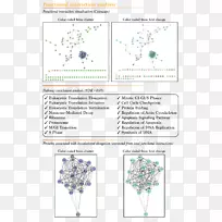 纸树图线-树-空若网 纸树图线-树-空若网