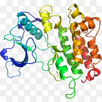 人体珠宝有机体线条剪贴画.珠宝-空若网 人体珠宝有机体线条剪贴画.珠宝-空若网