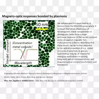 ����Ҷ����-��-������