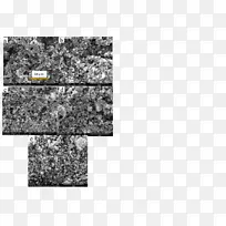 �����Ұ�ɫ����-ѡ���Ի�ԭ-������