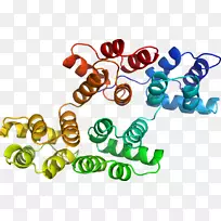 人体珠宝有机体线条剪贴画.珠宝-空若网 人体珠宝有机体线条剪贴画.珠宝-空若网