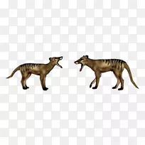 猫陆生动物野生动物-动物园大亨2-空若网 猫陆生动物野生动物-动物园大亨2-空若网