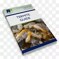 °×ÒϺ¦³æ·äȺÅä·½ÈçºÎɱÃð°×ÒÏ-¿ÕÈôÍø °×ÒϺ¦³æ·äȺÅä·½ÈçºÎɱÃð°×ÒÏ-¿ÕÈôÍø