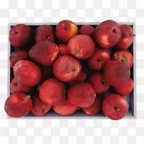 巴巴多斯樱桃、石榴子、副果、越橘、无毛麦片-空若网 巴巴多斯樱桃、石榴子、副果、越橘、无毛麦片-空若网