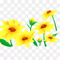 花卉花瓣设计-花卉-空若网 花卉花瓣设计-花卉-空若网