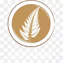 �������ǿ���������Ũ�����Ȳ���-����-������