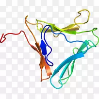 �ߵ������������-������