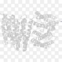 白色字体设计-空若网 白色字体设计-空若网