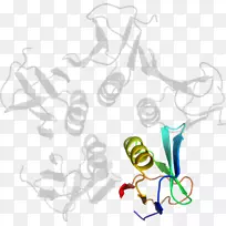 ����������-������