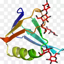 线点鞋有机体剪贴画线-空若网 线点鞋有机体剪贴画线-空若网