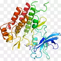 植物茎线动物剪贴画线-空若网 植物茎线动物剪贴画线-空若网