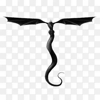 白人-人-空若网 白人-人-空若网