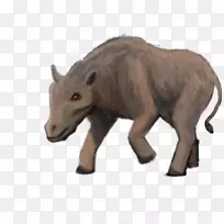 牛角陆生动物鼻子野生动物野猪-空若网 牛角陆生动物鼻子野生动物野猪-空若网