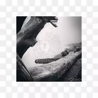 摄影师黑白摄影iphone-摄影师-空若网 摄影师黑白摄影iphone-摄影师-空若网